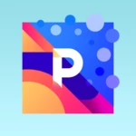 Logo of Picadelic android Application 